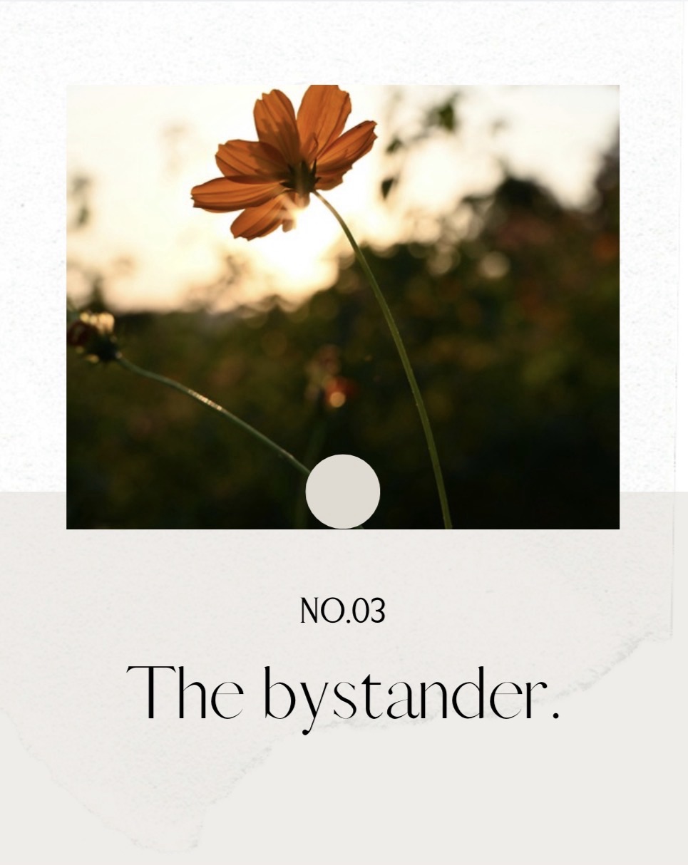 The bystander.